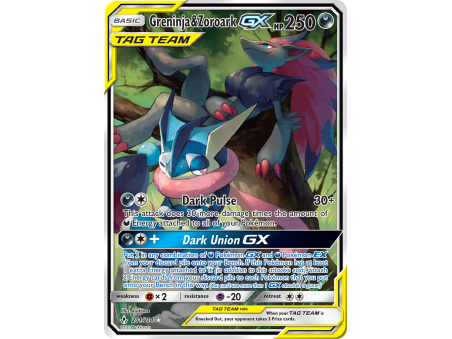 Greninja & Zoroark-GX