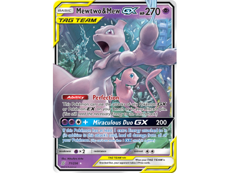 Mewtwo & Mew-GX (Holo)