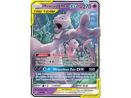 Mewtwo & Mew-GX (Holo)