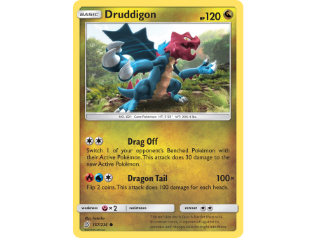 Druddigon (Reverse Holo)