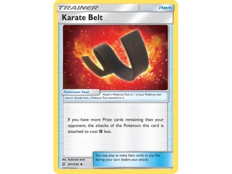 Karate Belt