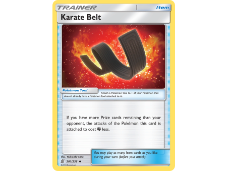 Karate Belt (Reverse Holo)