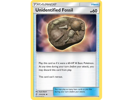 Unidentified Fossil