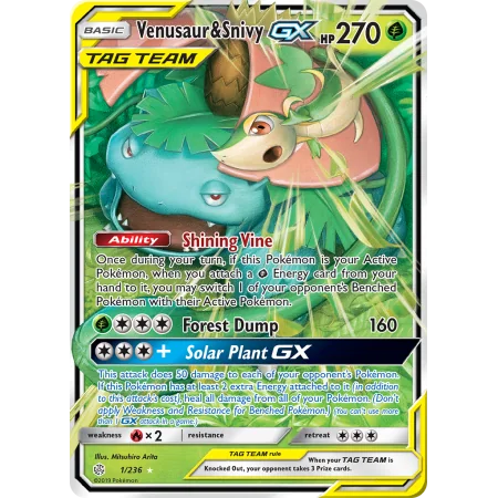 Venusaur & Snivy-GX (Holo)