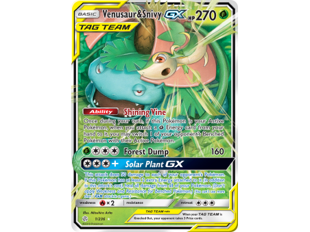 Venusaur & Snivy-GX (Holo)