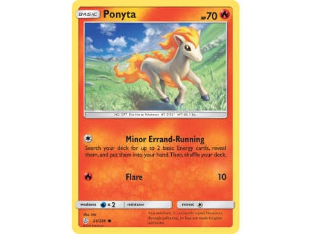 Ponyta