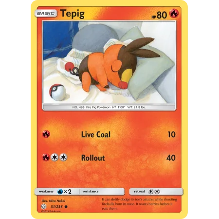 Tepig (Reverse Holo)