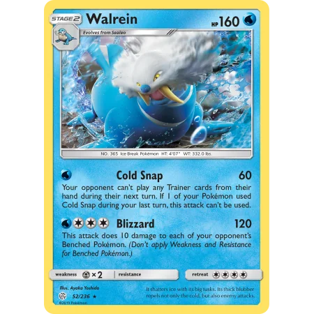 Walrein