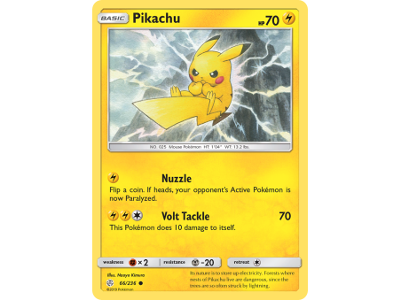 Pikachu (Reverse Holo)