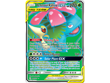 Venusaur & Snivy-GX