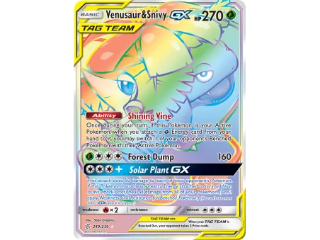 Venusaur & Snivy-GX