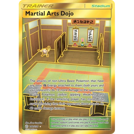 Martial Arts Dojo