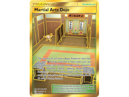 Martial Arts Dojo