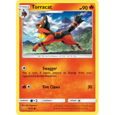 Torracat