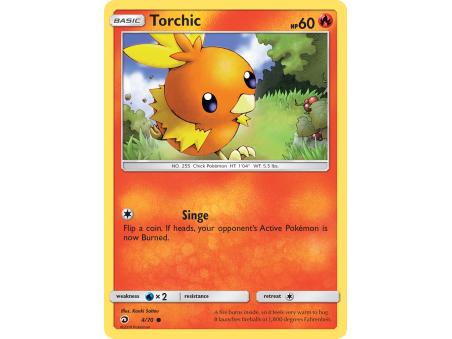 Torchic