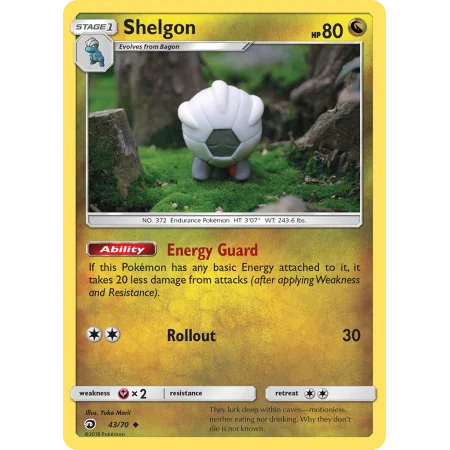 Shelgon