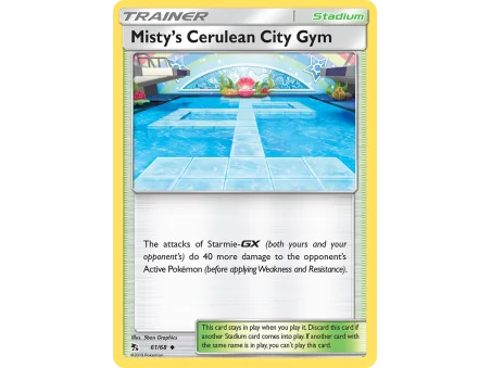 Misty's Cerulean City Gym