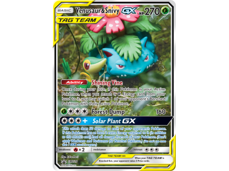 Venusaur & Snivy-GX