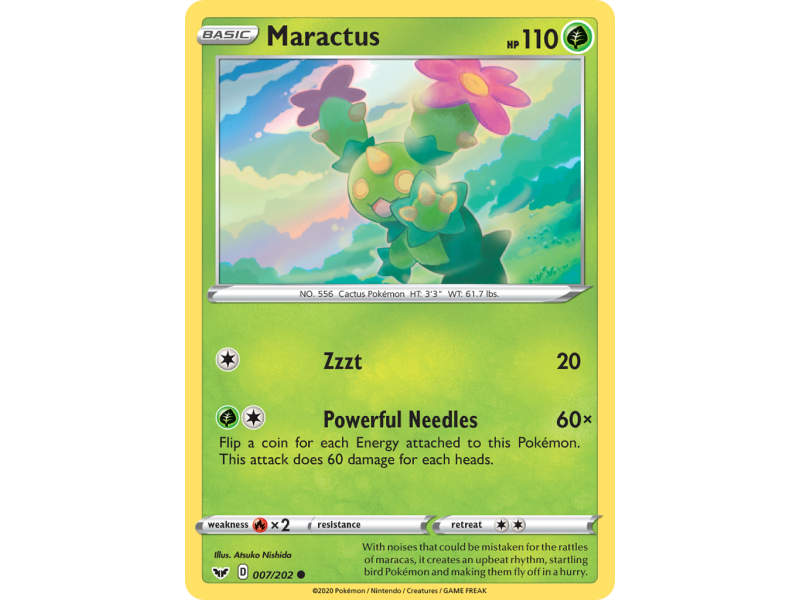 Maractus