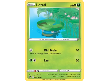 Lotad (Reverse Holo)