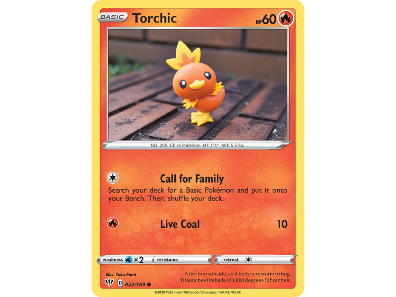 Torchic