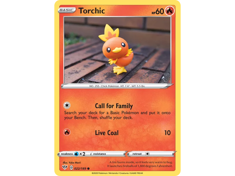 Torchic