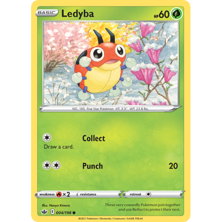 Ledyba