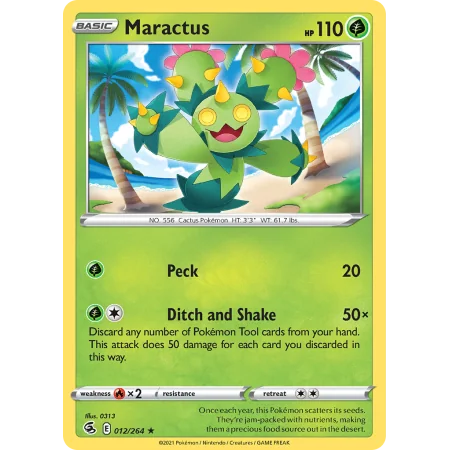 Maractus