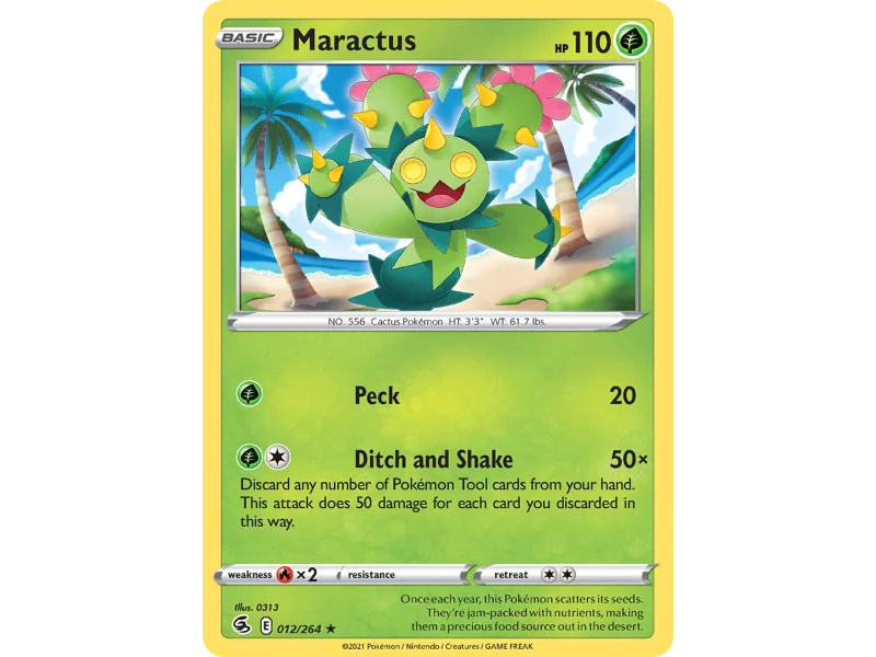 Maractus