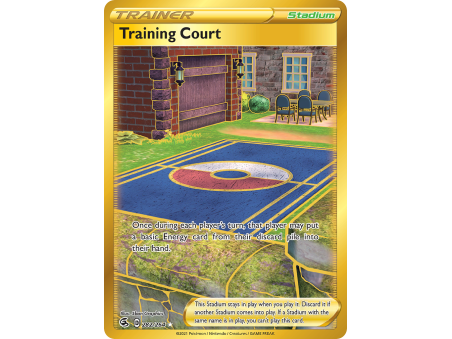 Training Court