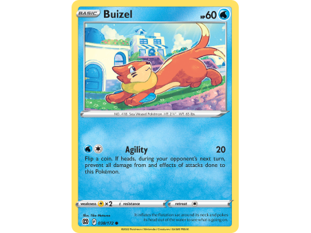 Buizel
