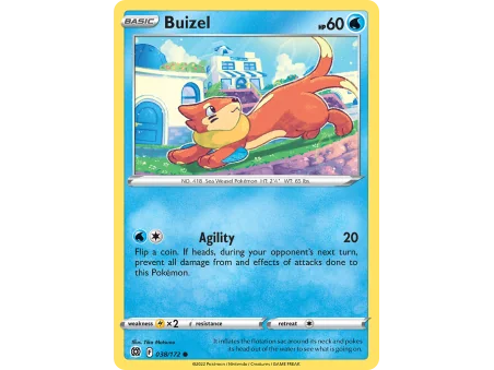 Buizel