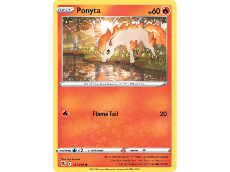 Ponyta