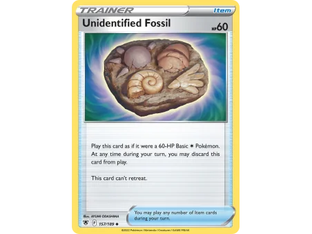 Unidentified Fossil