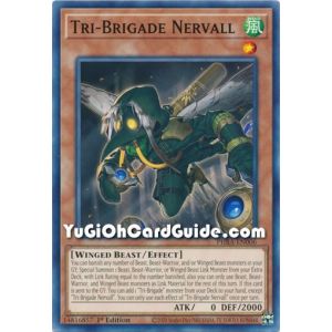 Tri-Brigade Nervall (Common)
