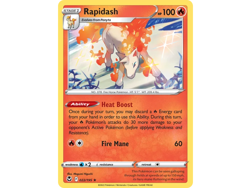 Rapidash (Holo)