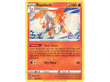 Rapidash (Holo)