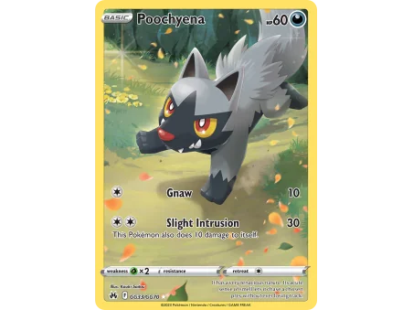 Poochyena (Holo)