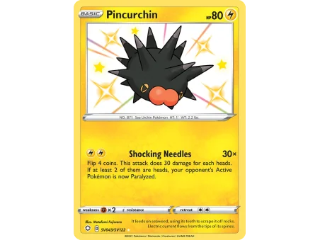 Pincurchin