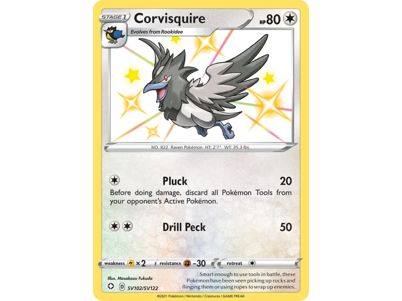 Corvisquire