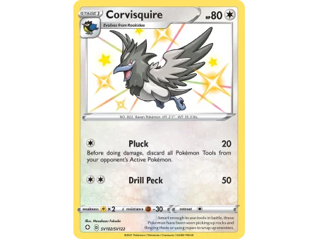 Corvisquire