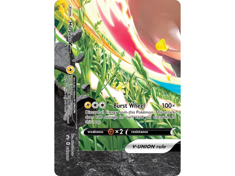Morpeko V-UNION