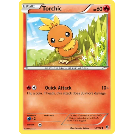 Torchic