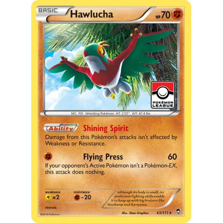Hawlucha (Holo)