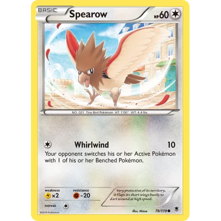 Spearow