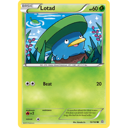Lotad (Reverse Holo)