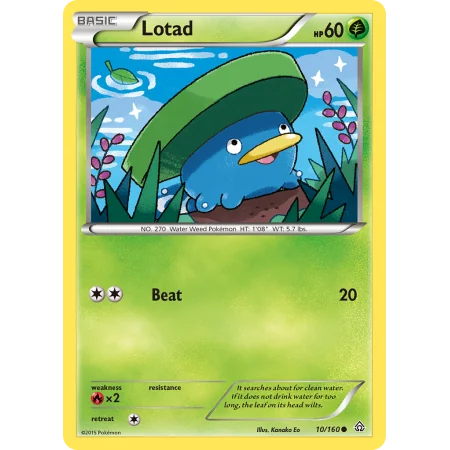 Lotad (Reverse Holo)