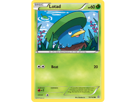 Lotad (Reverse Holo)