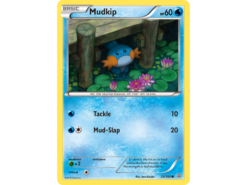 Mudkip