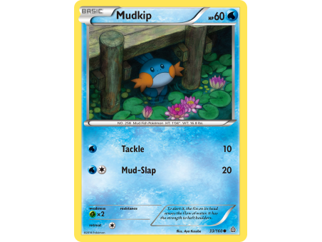 Mudkip